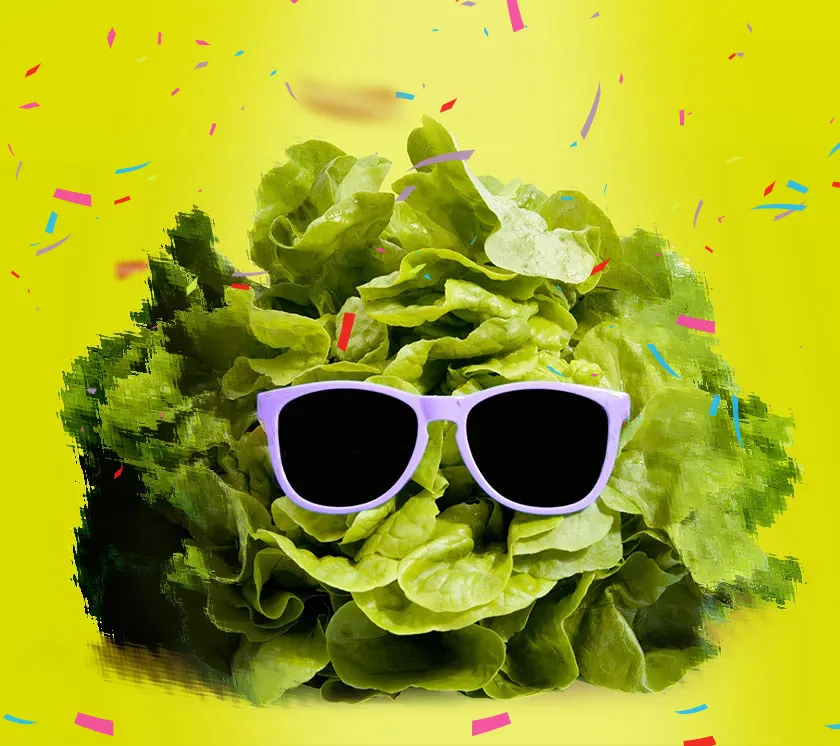 Werbung. GrafikDesign. WebDesign. | Hilden, Erkrath, Haan, Mettmann, Langenfeld Werbung. GrafikDesign. WebDesign. | Hilden, Erkrath, Haan, Mettmann, Langenfeld